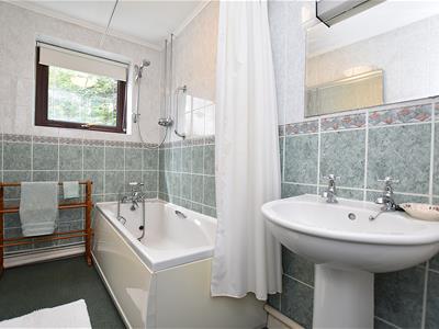 Picture 23